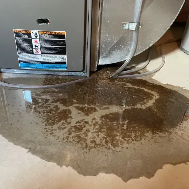 Appliance Leak Cleanup in Summerfield, NC